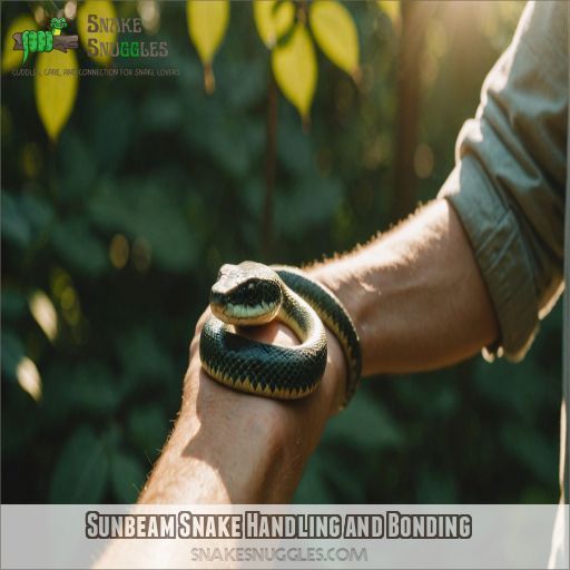 Sunbeam Snake Handling and Bonding