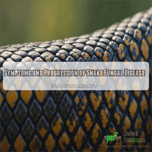 Symptoms and Progression of Snake Fungal Disease