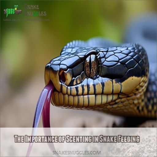 The Importance of Scenting in Snake Feeding