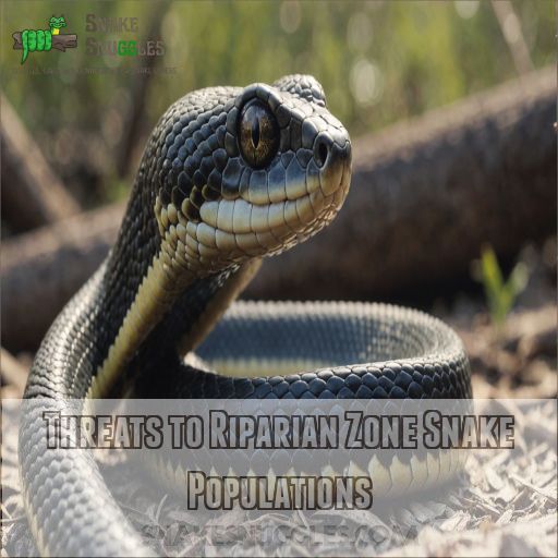 Threats to Riparian Zone Snake Populations