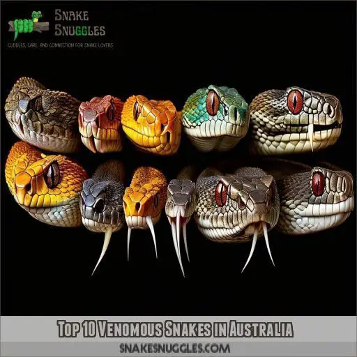 Top 10 Venomous Snakes in Australia