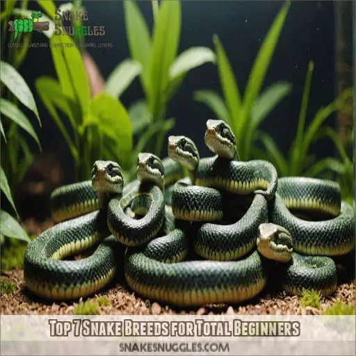 Top 7 Snake Breeds for Total Beginners