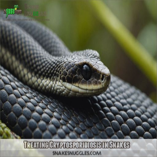 Treating Cryptosporidiosis in Snakes