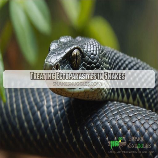 Treating Ectoparasites in Snakes