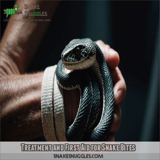 Treatment and First Aid for Snake Bites