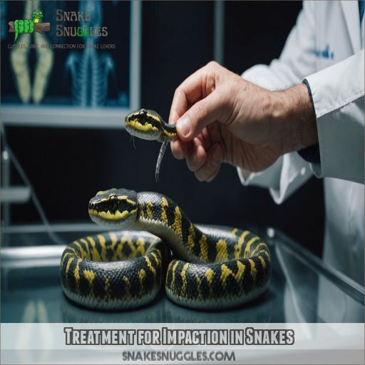 Treatment for Impaction in Snakes