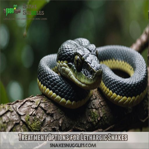 Treatment Options for Lethargic Snakes