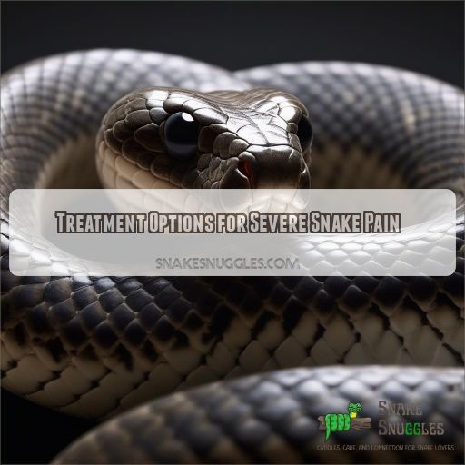 Treatment Options for Severe Snake Pain