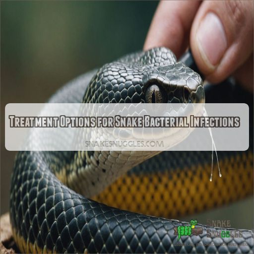 Treatment Options for Snake Bacterial Infections