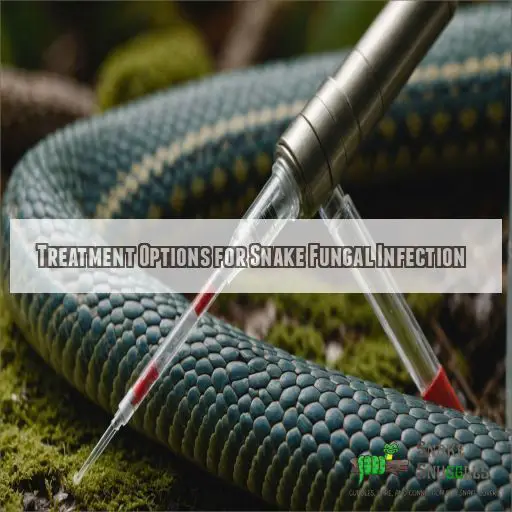 Treatment Options for Snake Fungal Infection