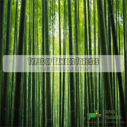 Types of Bamboo Forests