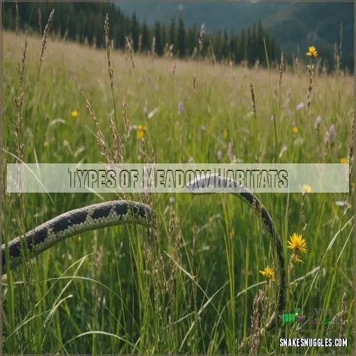 Types of Meadow Habitats