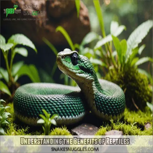 Understanding the Benefits of Reptiles