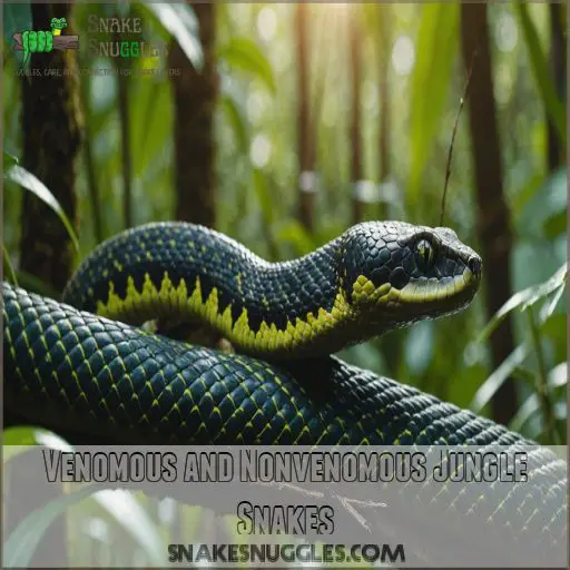 Venomous and Nonvenomous Jungle Snakes