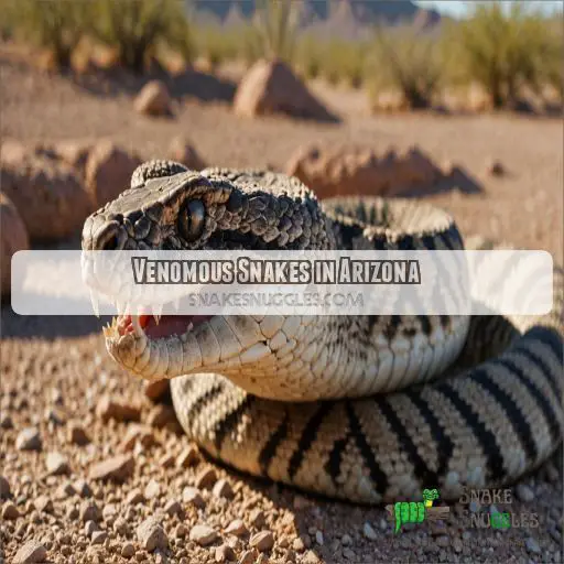 Venomous Snakes in Arizona