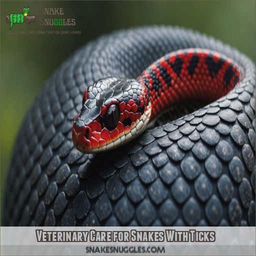 Veterinary Care for Snakes With Ticks