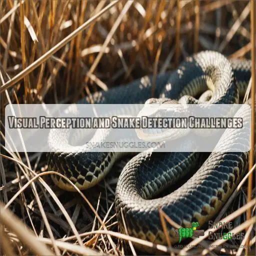 Visual Perception and Snake Detection Challenges