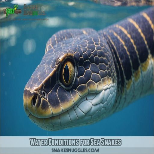 Water Conditions for Sea Snakes