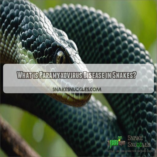 What is Paramyxovirus Disease in Snakes