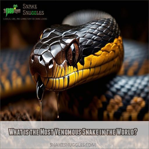 What is the Most Venomous Snake in the World