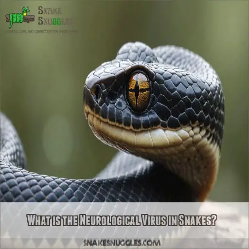 What is the Neurological Virus in Snakes