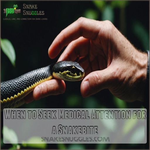 When to Seek Medical Attention for a Snakebite