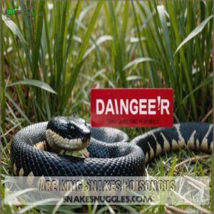 Are King Snakes Poisonous