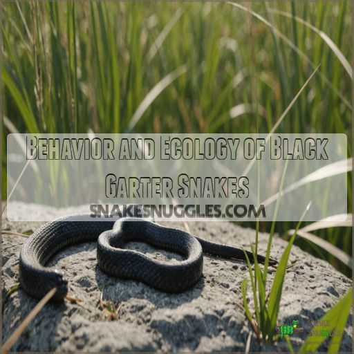 Behavior and Ecology of Black Garter Snakes