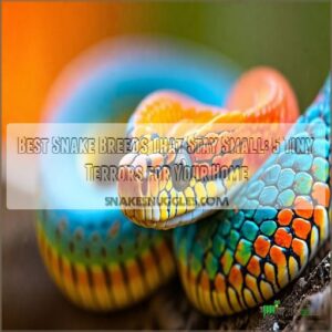 best snake breeds that stay small and dont grow 2