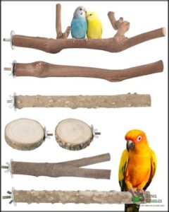 Bissap 7PCS Bird Perch Stand,