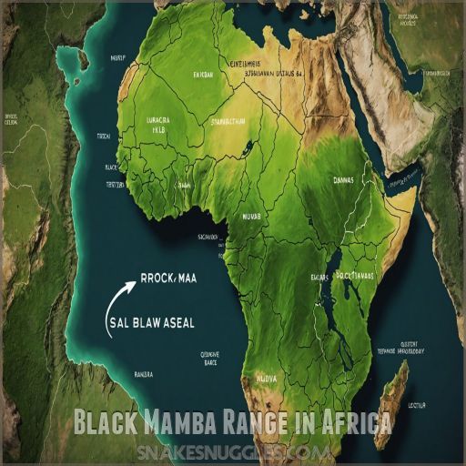 Black Mamba Range in Africa