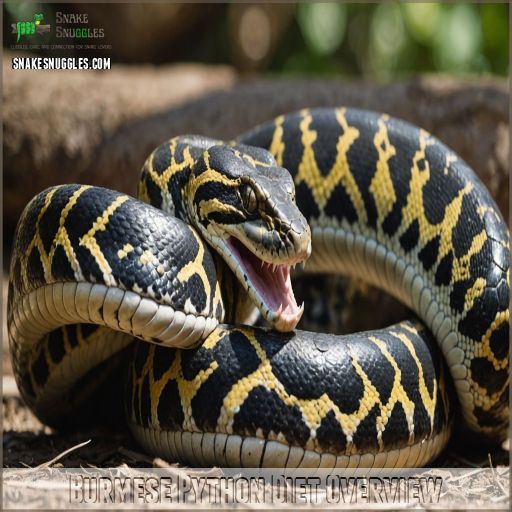 Burmese Python Diet Overview