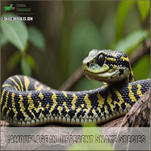 Camouflage in Different Snake Species