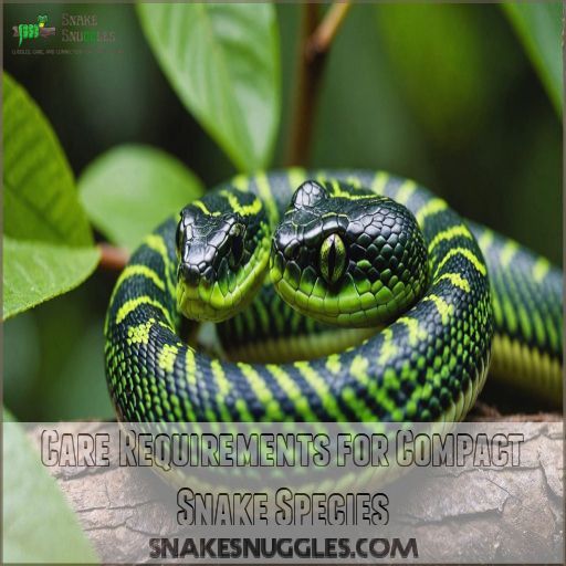 Care Requirements for Compact Snake Species