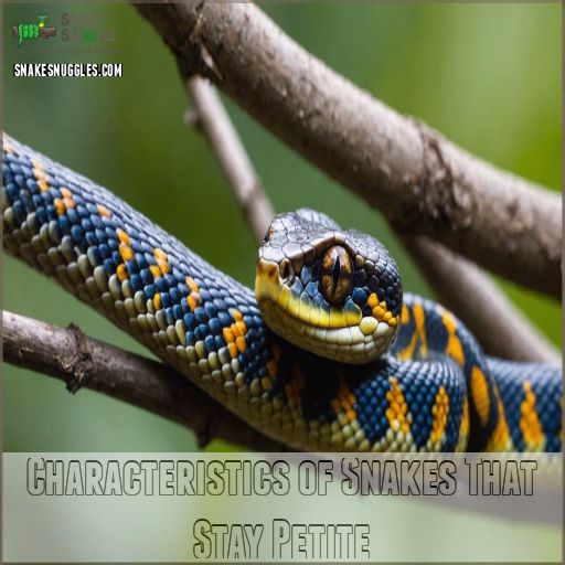 Characteristics of Snakes That Stay Petite