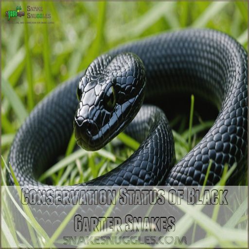 Conservation Status of Black Garter Snakes