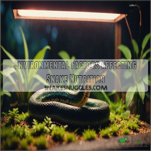 Environmental Factors Affecting Snake Nutrition