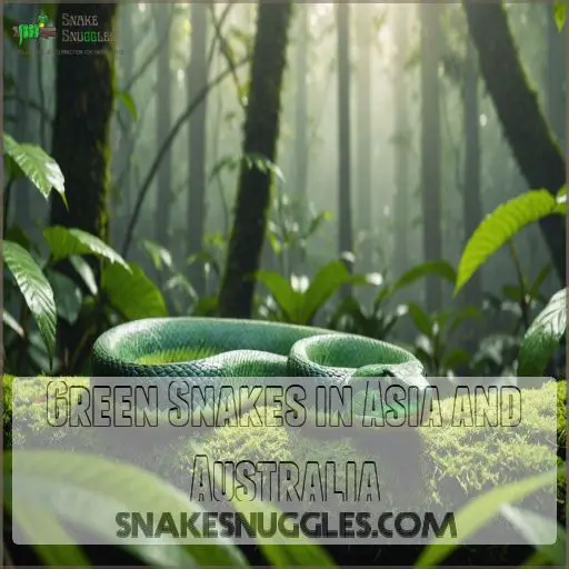 Green Snakes in Asia and Australia