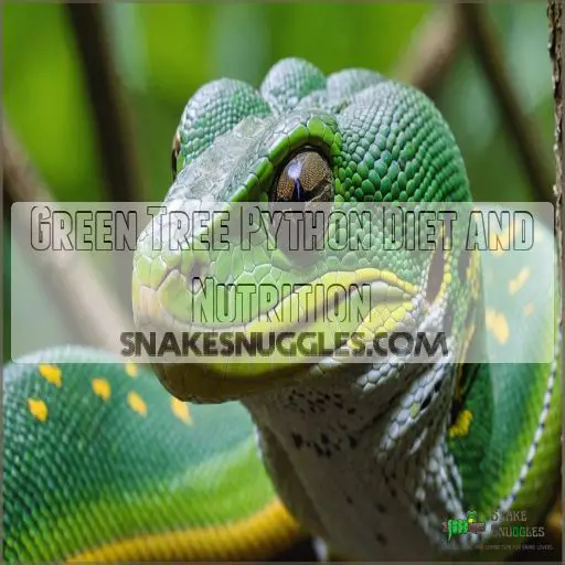 Green Tree Python Diet and Nutrition