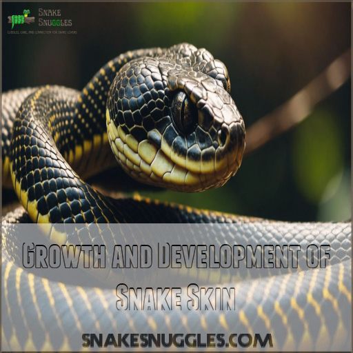 Growth and Development of Snake Skin