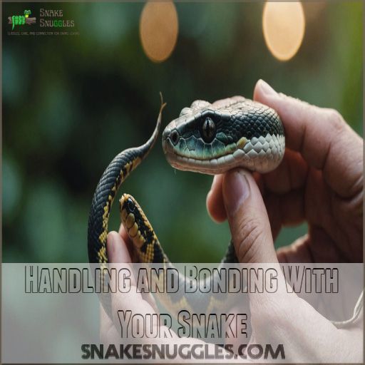 Handling and Bonding With Your Snake