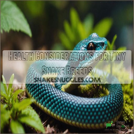 Health Considerations for Tiny Snake Breeds