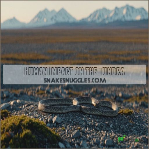 Human Impact on the Tundra