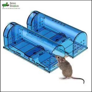 Humane Mouse Trap | Catch B07PDPVZBP