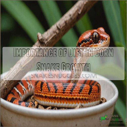 Importance of Diet in Corn Snake Growth