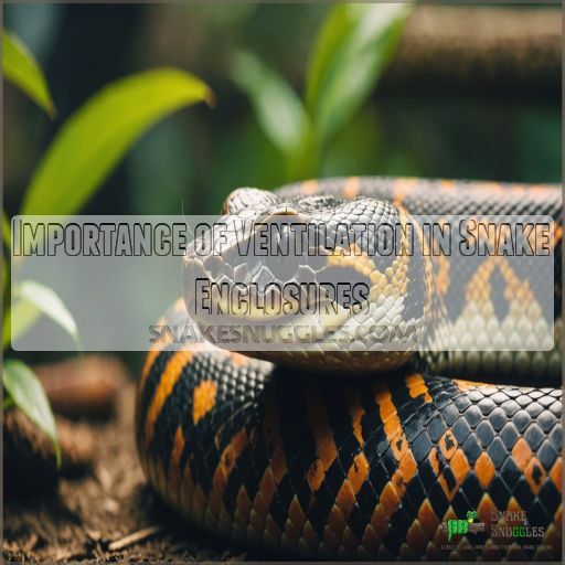 Importance of Ventilation in Snake Enclosures