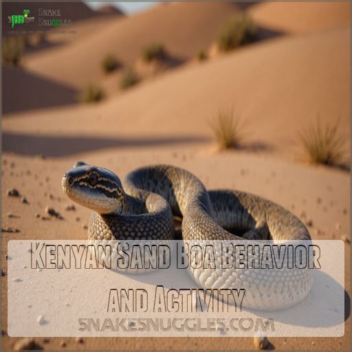 Kenyan Sand Boa Behavior and Activity