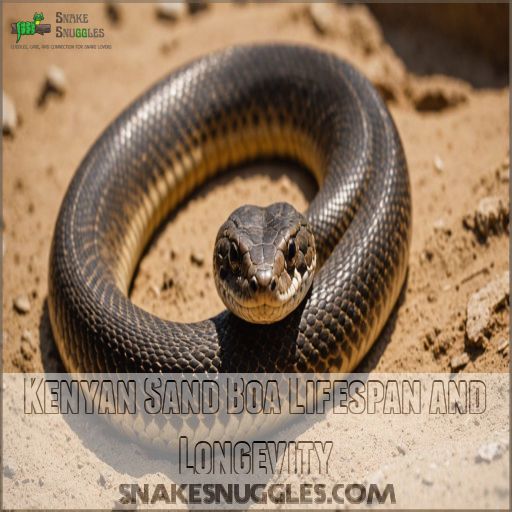 Kenyan Sand Boa Lifespan and Longevity