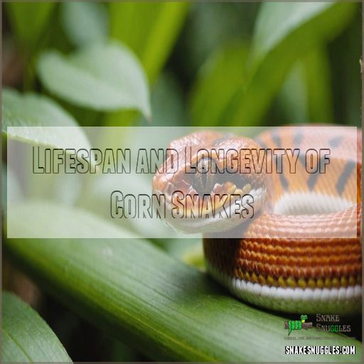 Lifespan and Longevity of Corn Snakes