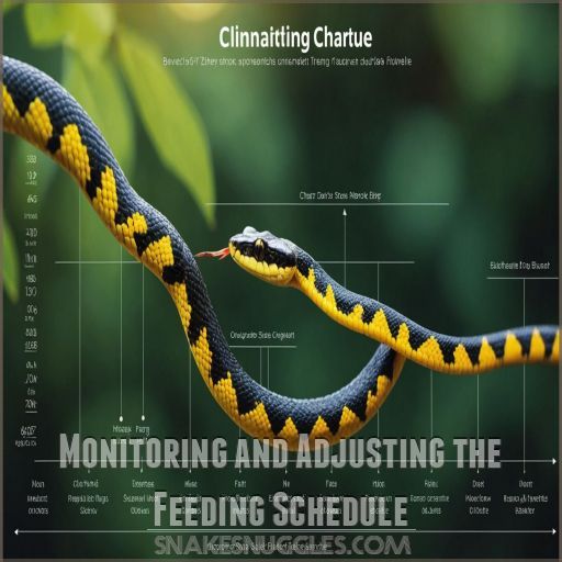 Monitoring and Adjusting the Feeding Schedule